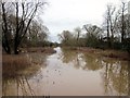 SJ4259 : Aldford Brook in Flood by Jeff Buck