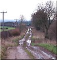 Mucky farm lane and bridleway