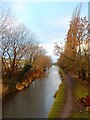 The Macclesfield Canal