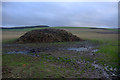 Manure pile, Ingliston, Eassie