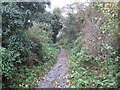 Watlington: Footpath towards Springfield Farm