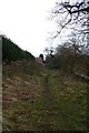 Bridleway to Hopgrove Farm