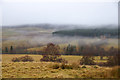 Glen Shee at Mount Blair Lodge