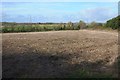 Farmland west of Conker Road