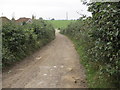 Track adjacent to Wyckham Farm