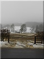 SD3394 : Grizedale - winter scene by Peter Elsdon