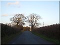 Tower Cross, seen from the minor road on the south-west