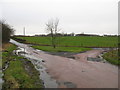 Traffic Island on the B802