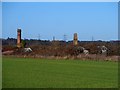 Derelict green houses and chimneys near to Biggleswade Hospital