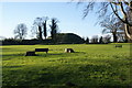 Open grassland by Castle Hill