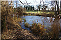 The River Thet near Thetford