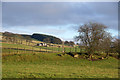 View to Easter Hatton from Parkhill, Rattray