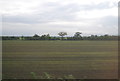 Flat farmland south of the railway line