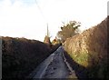 Coed Lane approaching Coed Farm