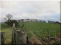 Wooded hilltop above Wincle Grange