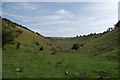 SE8358 : Worm Dale near Thixendale by Christopher Hall
