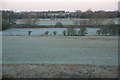 Fields on a frosty morning near East Harling