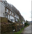 Prince Street houses, Wattsville