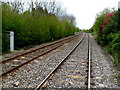 Railway towards Kenwater bridge, Leominster