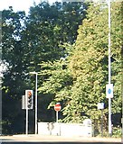 TL4556 : Traffic lights, end of Brooklands Avenue by N Chadwick