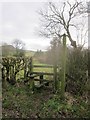 Stile & footpath at Greenlane