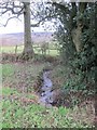 One of several streams between Greenlane & Rose Cottage