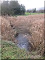 Stream & reed beds between Greenlane & Rose Cottage