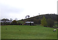 Grazing, Stainforth