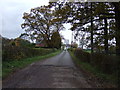 Track to Bank Hall Farm