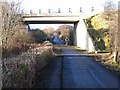 Consett and Sunderland Railway Path at Pelton