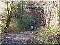 Cyclist on the Bowes Railway Path at Birtley