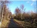 Consett and Sunderland Railway Path at South Pelaw