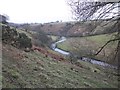 River Barle, near Landacre