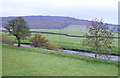 The River Aire near Cononley