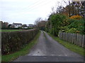 Track to Crow Hall Farm