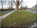 Grass verge on Headstone Lane