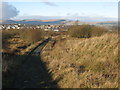 Track in Palacerigg Country Park