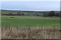 Farmland near West Polquhirter