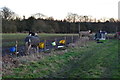 Ponies on the edge of Alderbury Common