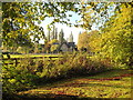 TF1401 : Autumn scene near Marholm by Paul Bryan