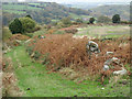 Bridleway descending towards Swang Farm