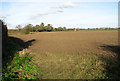 View towards the Rectory in Rushmere