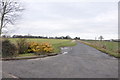 Driveway to Broom Hall off Shutt Green Lane