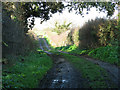 Footpath past Rushmere Hall