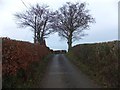 The top of Cleave Hill near Meshaw