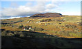 Arenig Fach and Pant-yr-Hedydd