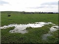 Standing water in an Affetside field