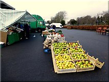 H4374 : Produce on sale, Omagh Market by Kenneth  Allen