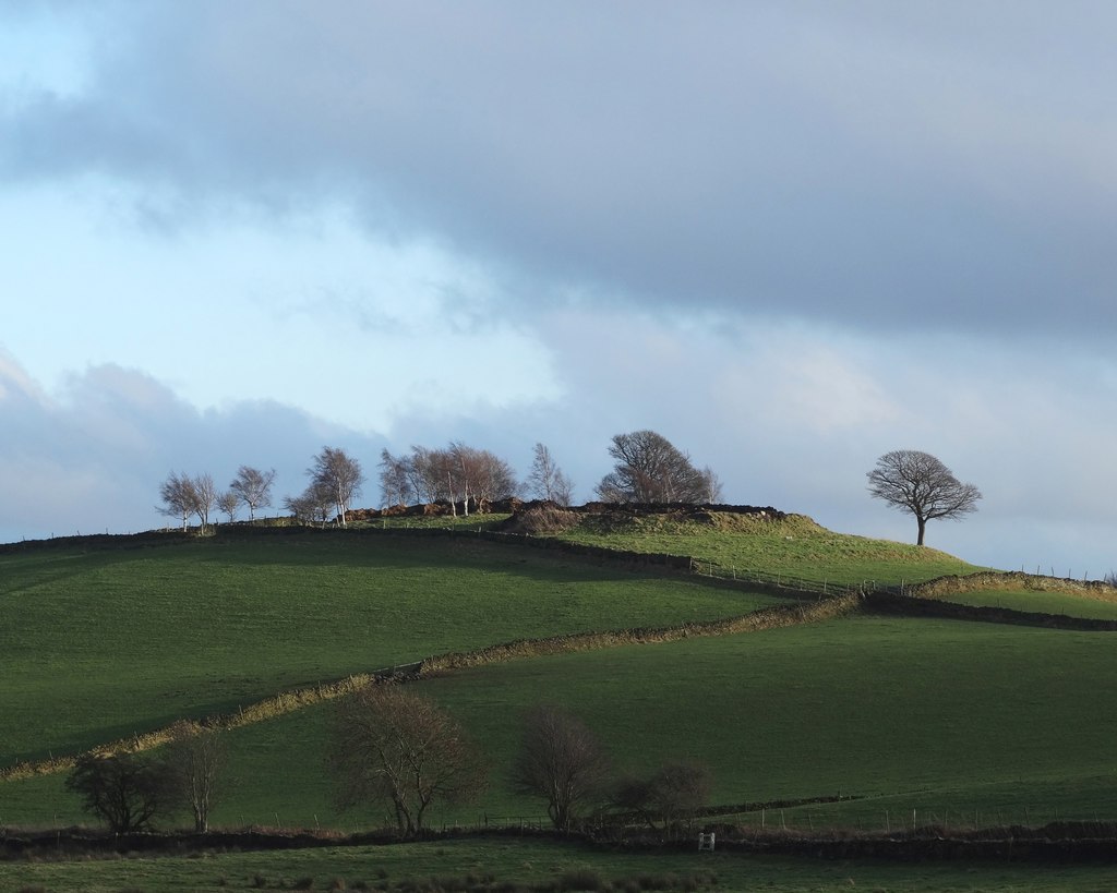 Bole Hill viewed from Lodge Moor Road © Neil Theasby :: Geograph ...