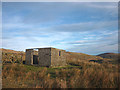 NY5302 : Roofless hut, Lamb Pasture by Karl and Ali